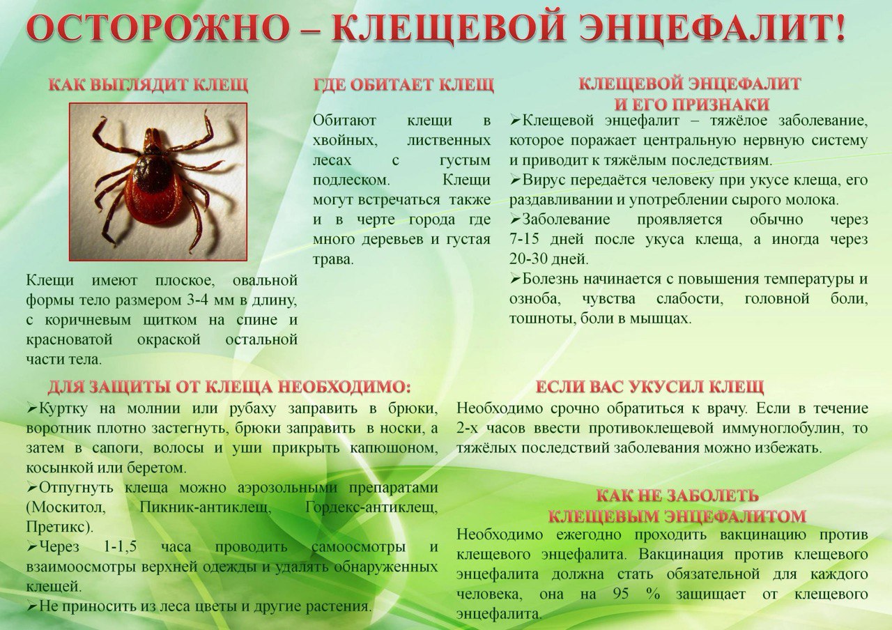 СЕЗОН АКТИВНОСТИ КЛЕЩЕЙ В ЮГРЕ НАЧАЛСЯ!