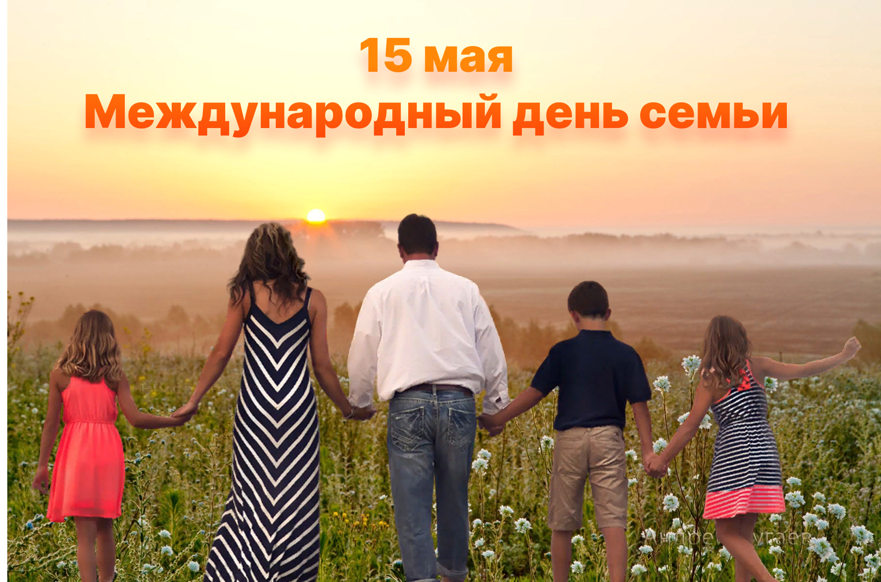 15 мая международный день семьи