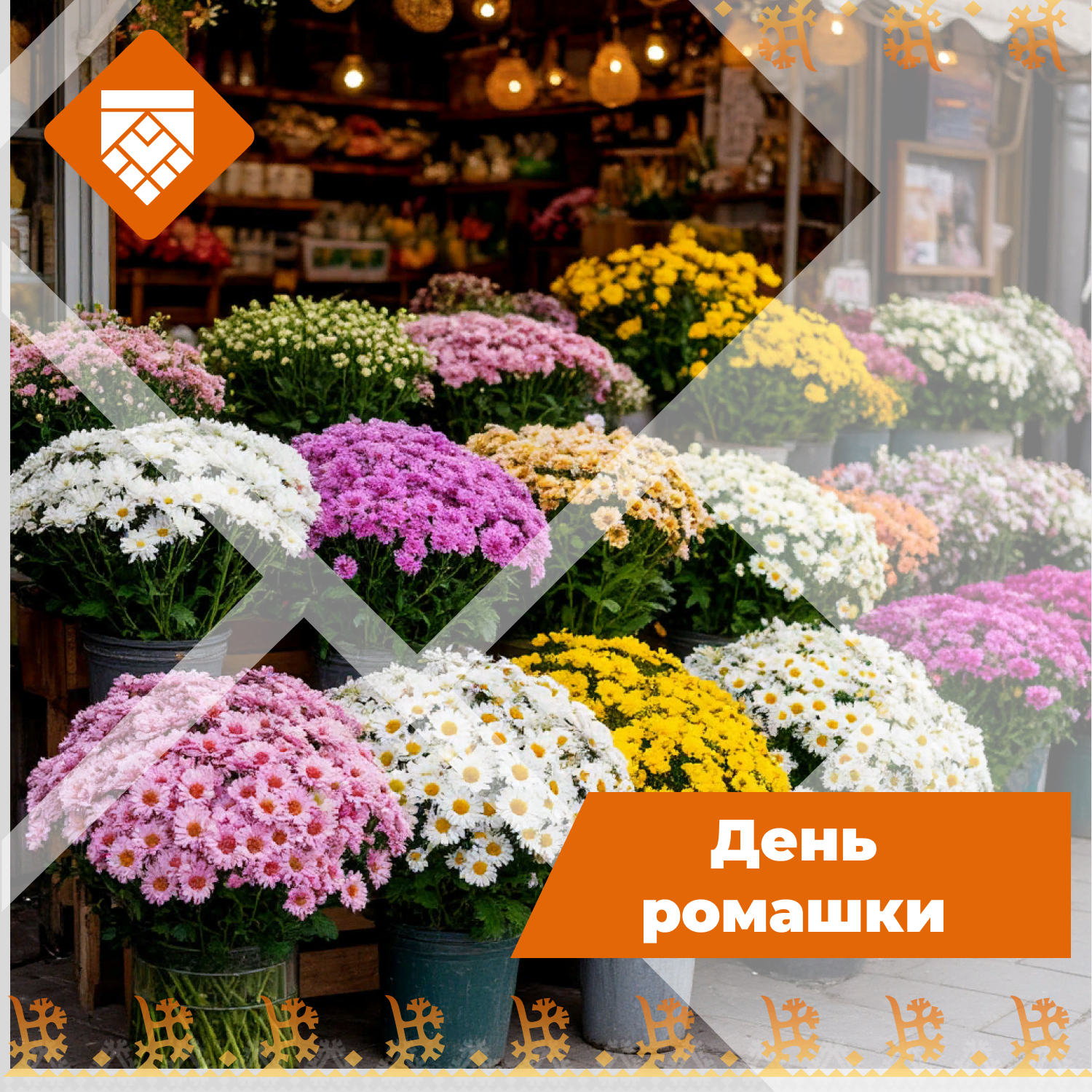 День ромашки