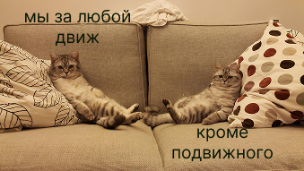 День российской лени