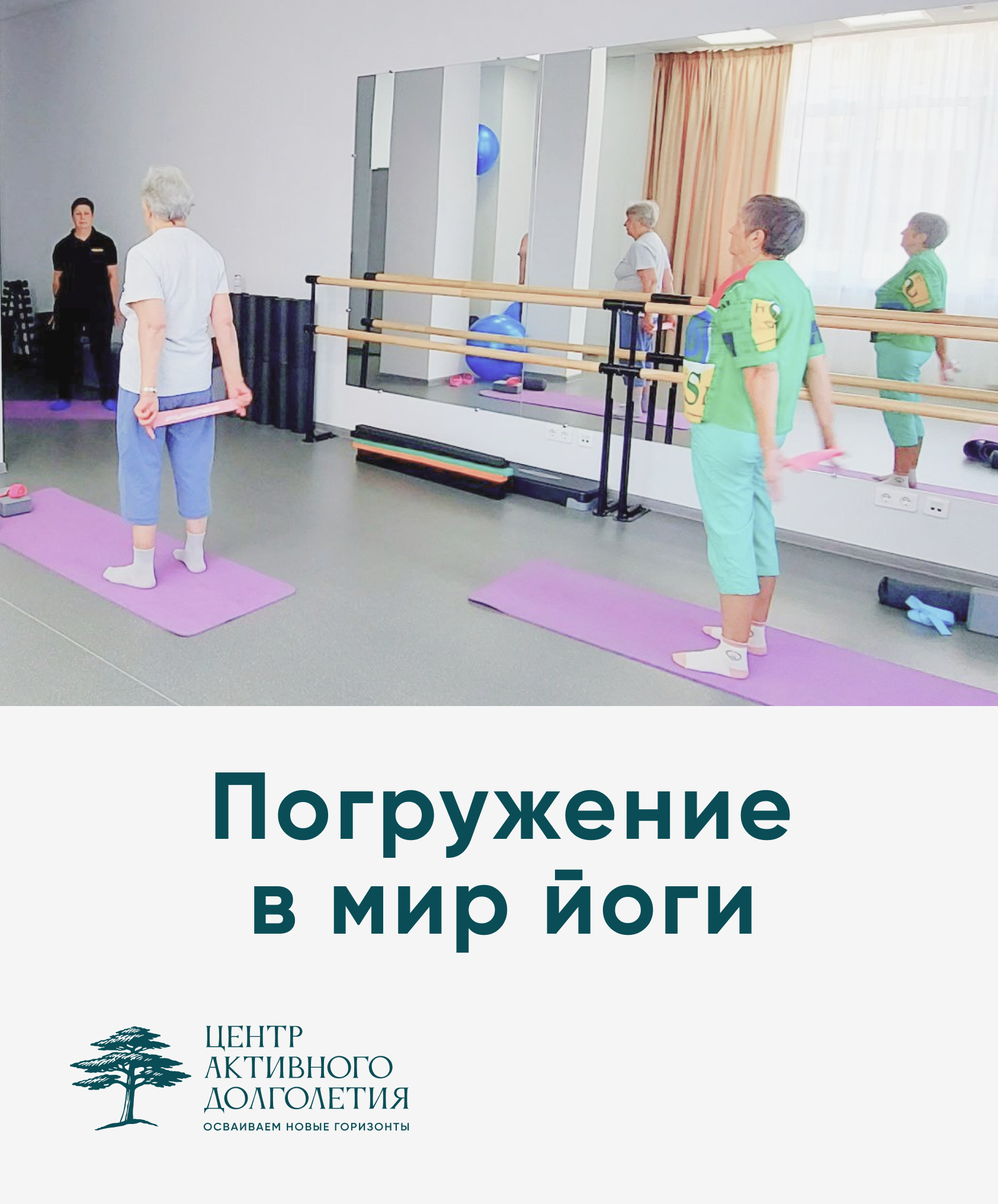 Погружение в мир йоги